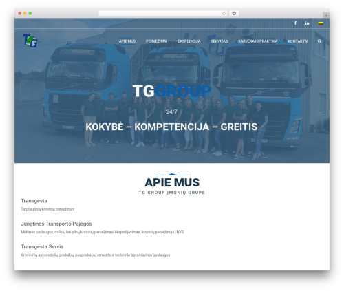 Solazu unyson WordPress plugin - tggroup.lt
