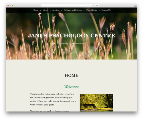 WordPress theme Book Lite - janinebrooks.com.au