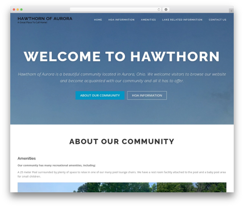 Wp Edit Password Protected – Create Member/User Only Page & Design Password Protected Form (wp-edit-password-protected) free WordPress plugin - hawthornofaurora.com