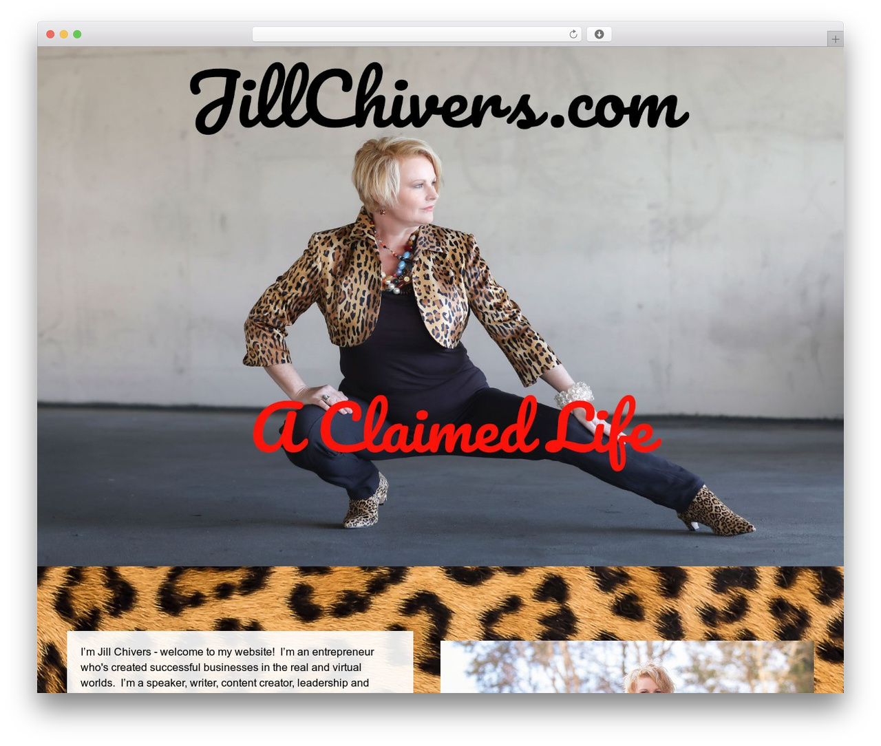 WP theme Basic - jillchivers.com