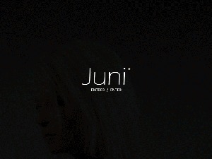 WP theme Juni by Digital Lighthouse