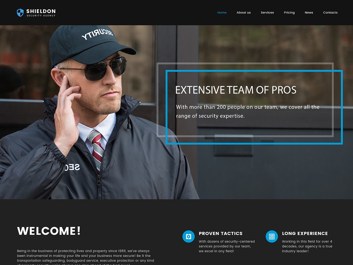 Shieldon WordPress theme