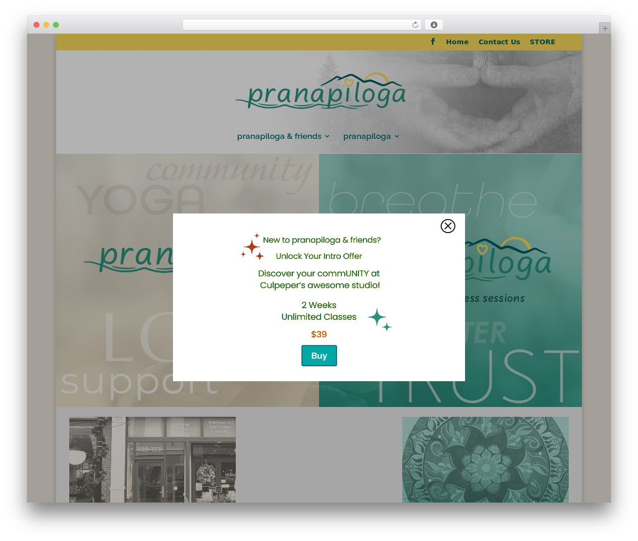 WordPress theme Divi - pranapiloga.com WordPress theme Divi - pranapiloga.com