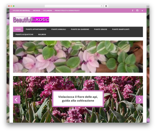 Beetle theme WordPress - beautifulexotic.it