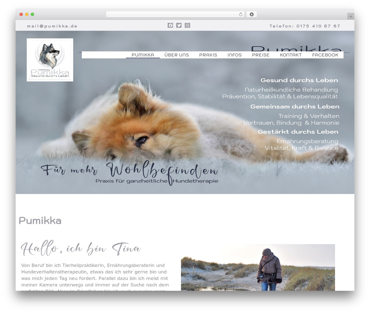 Hello Elementor WordPress page theme - tierheilpraxis-tina-mueller.de Hello Elementor WordPress page theme - tierheilpraxis-tina-mueller.de
