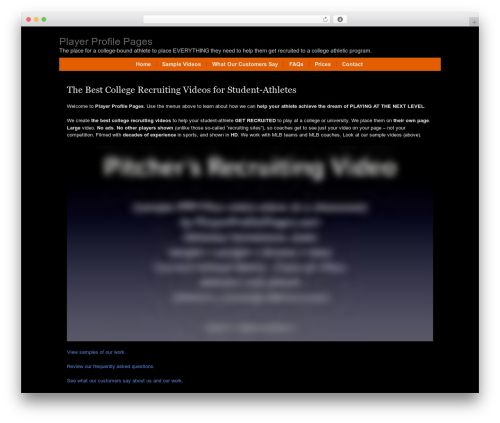 Modularity Lite theme WordPress - playerprofilepages.com