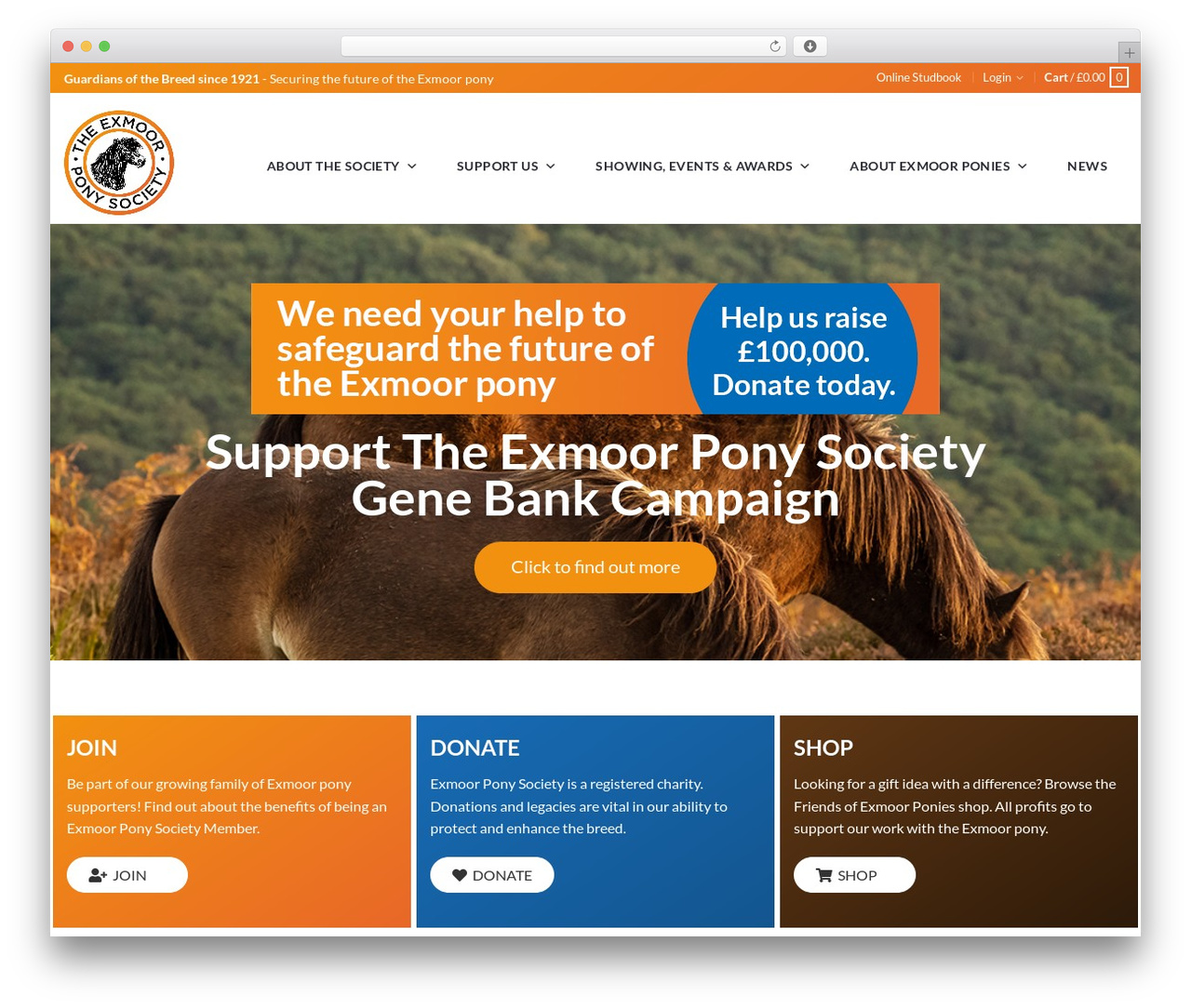 Oxygen Base Theme theme WordPress - exmoorponysociety.org.uk