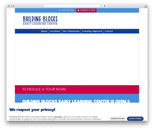 Pro WordPress theme - blockslearning.com