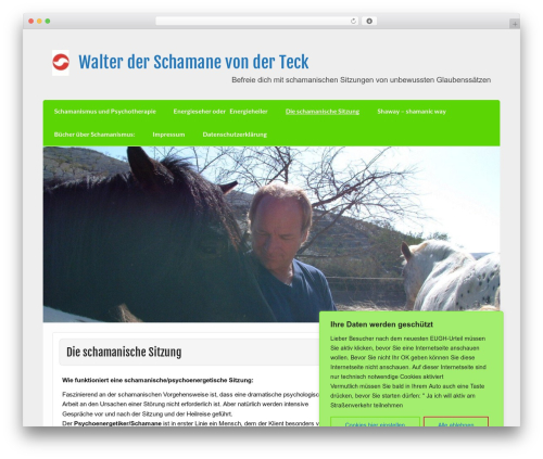 Courage pro WordPress plugin - schamane.biz