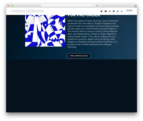 WordPress theme Micdrop - yaronherman.com