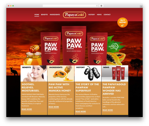 Instagram Followers Widget (instagram-followers-widget) free WordPress plugin - papayagold.com