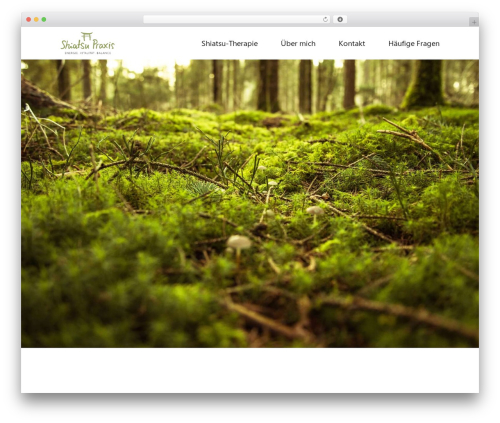 Fb pixel dsgvo WordPress plugin - shiatsupraxis-ilanz.ch