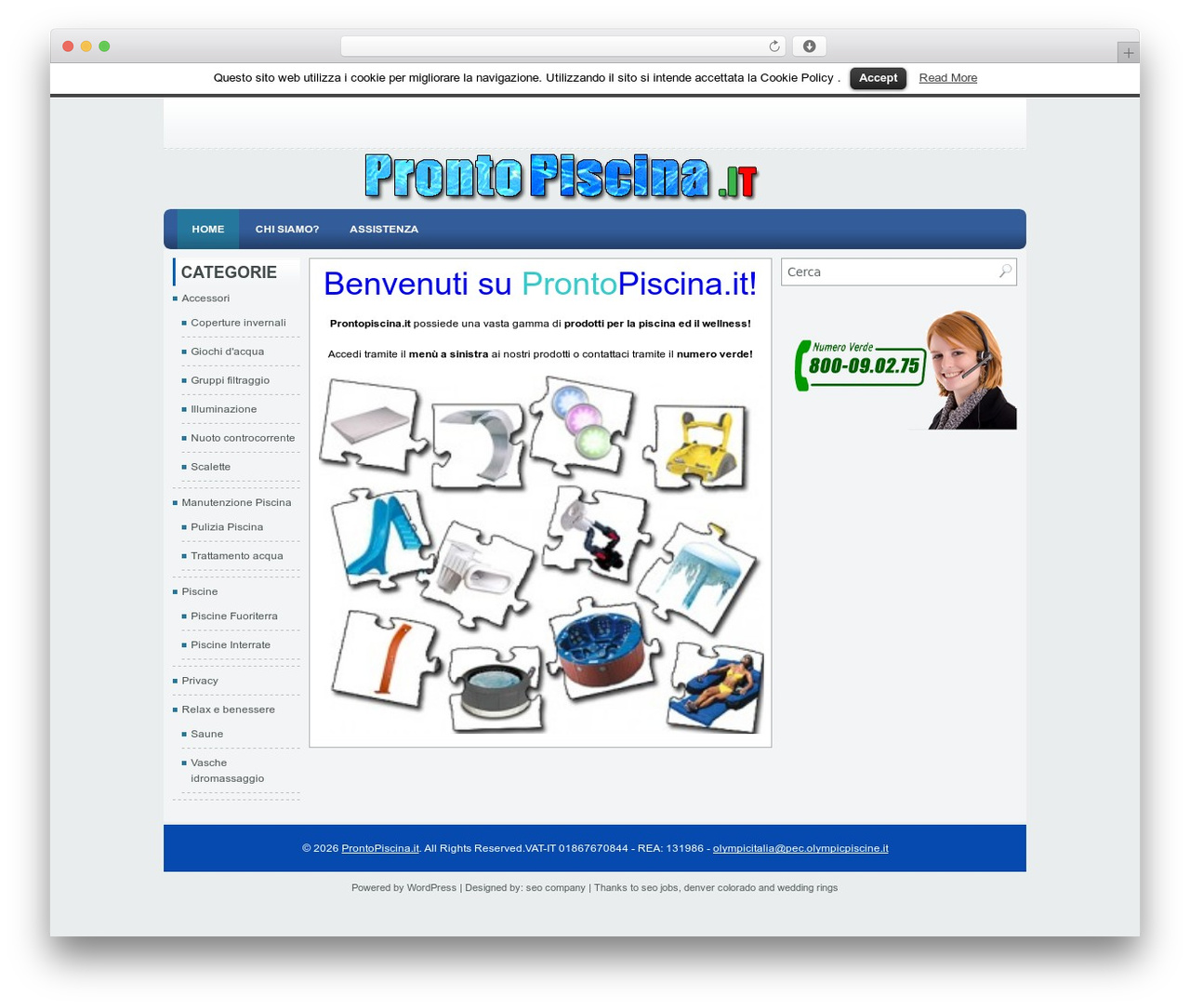 Lined premium WordPress theme - prontopiscina.it