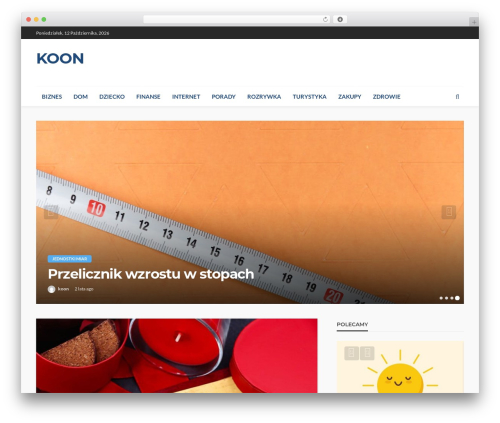 Bingo ruby core WordPress plugin - pioner.koon.pl