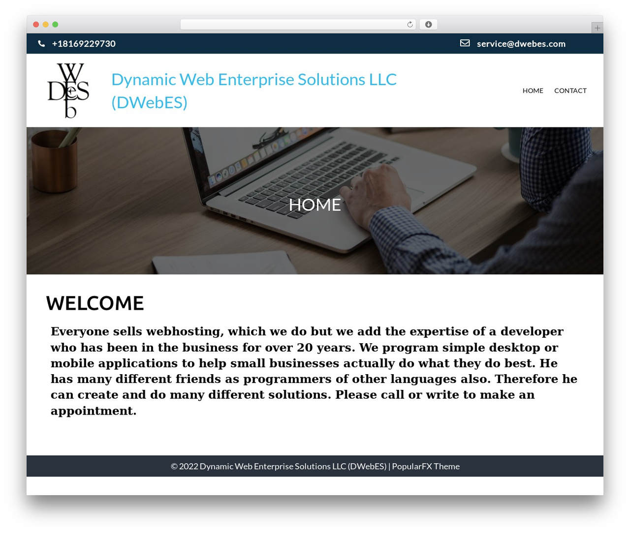 Web Development WordPress website theme - dwebes.com