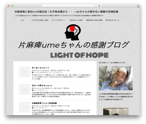 WordPress theme STINGER8 - hidarikatamahi.com
