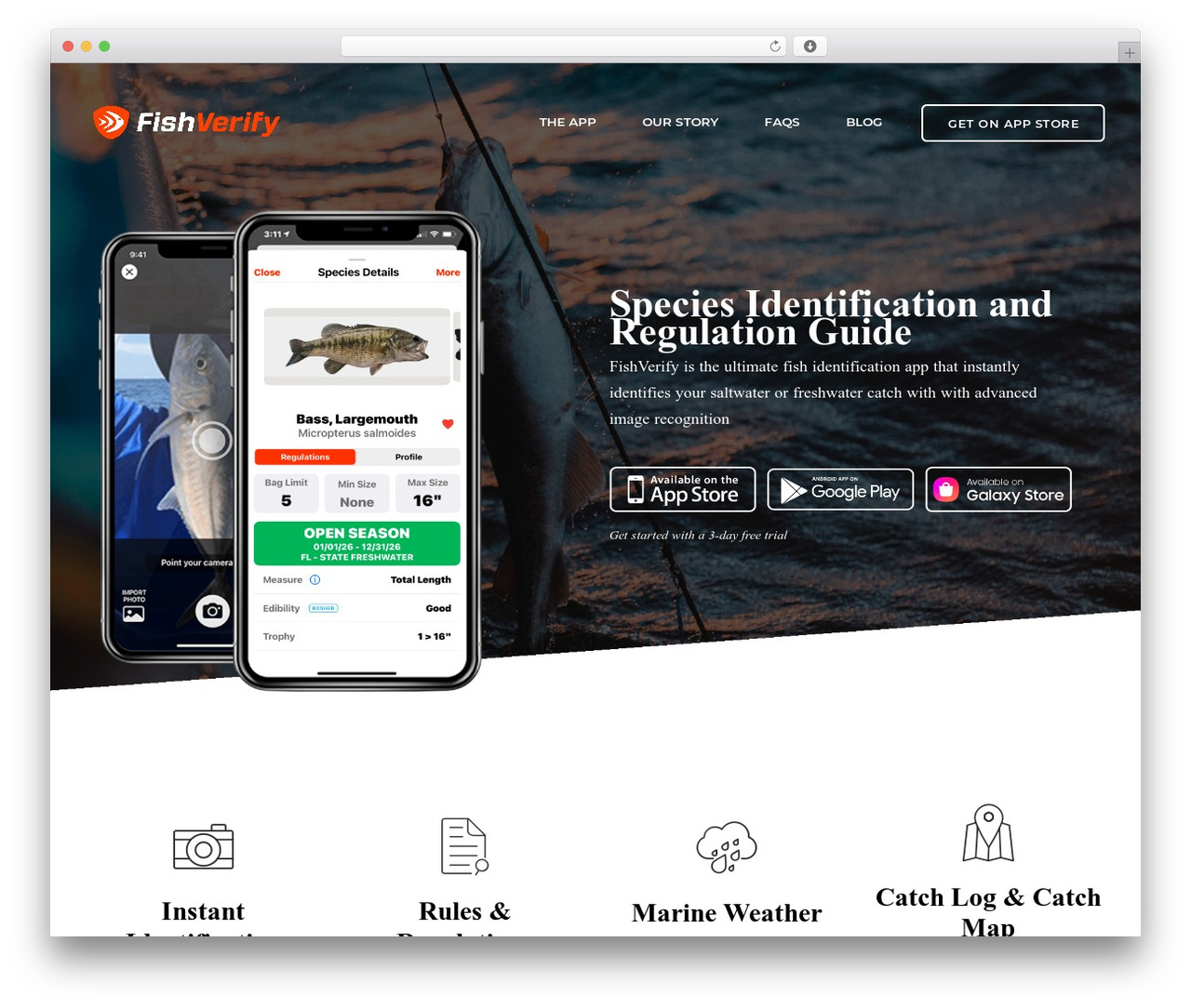 WordPress theme Appset Child - fishverify.com WordPress theme Appset Child - fishverify.com