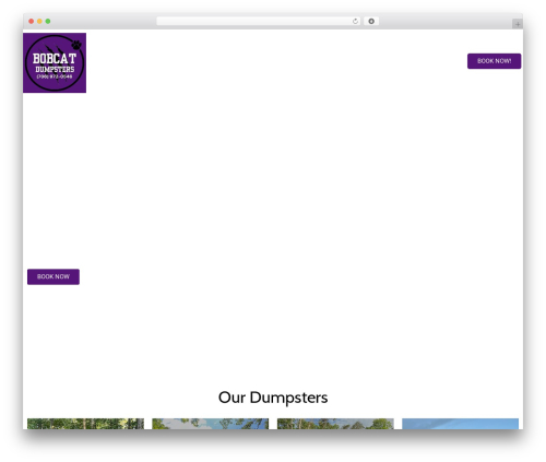Elementor pro broken WordPress plugin - bobcatdumpsters.com