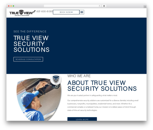 WordPress theme Skelementor - trueviewsecuritysolutions.com
