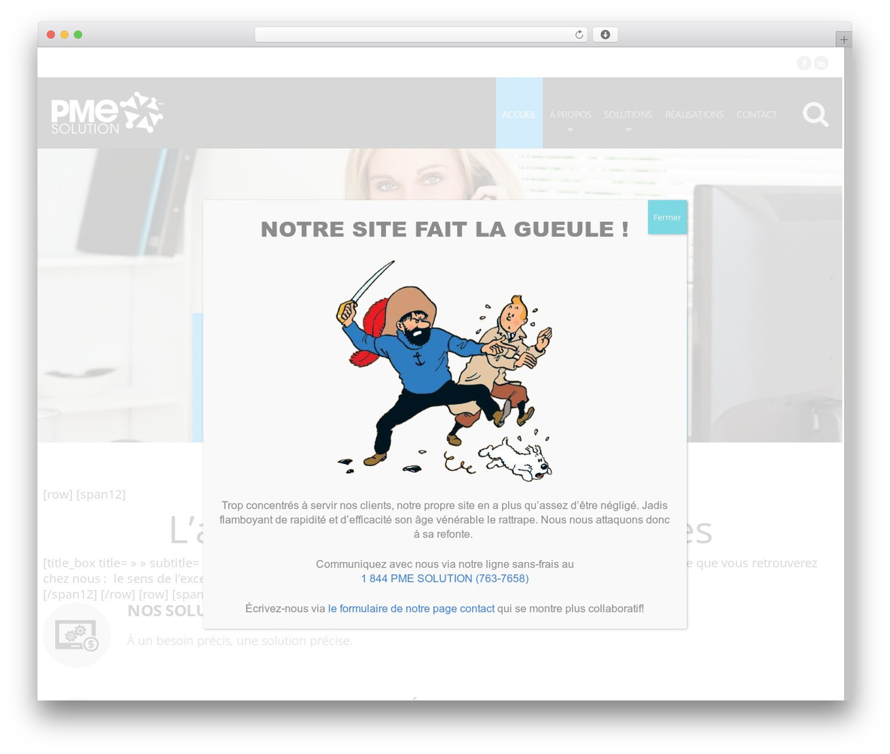cherry top WordPress theme - pmesolution.ca