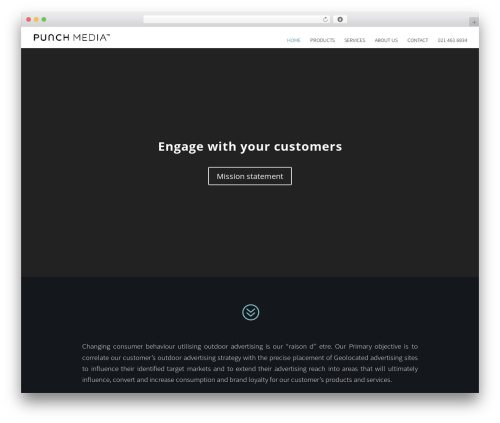 Aspen footer editor WordPress plugin - punchmedia.co.za