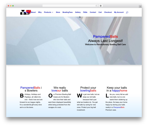 Divi WordPress website theme - pamperedballs.com