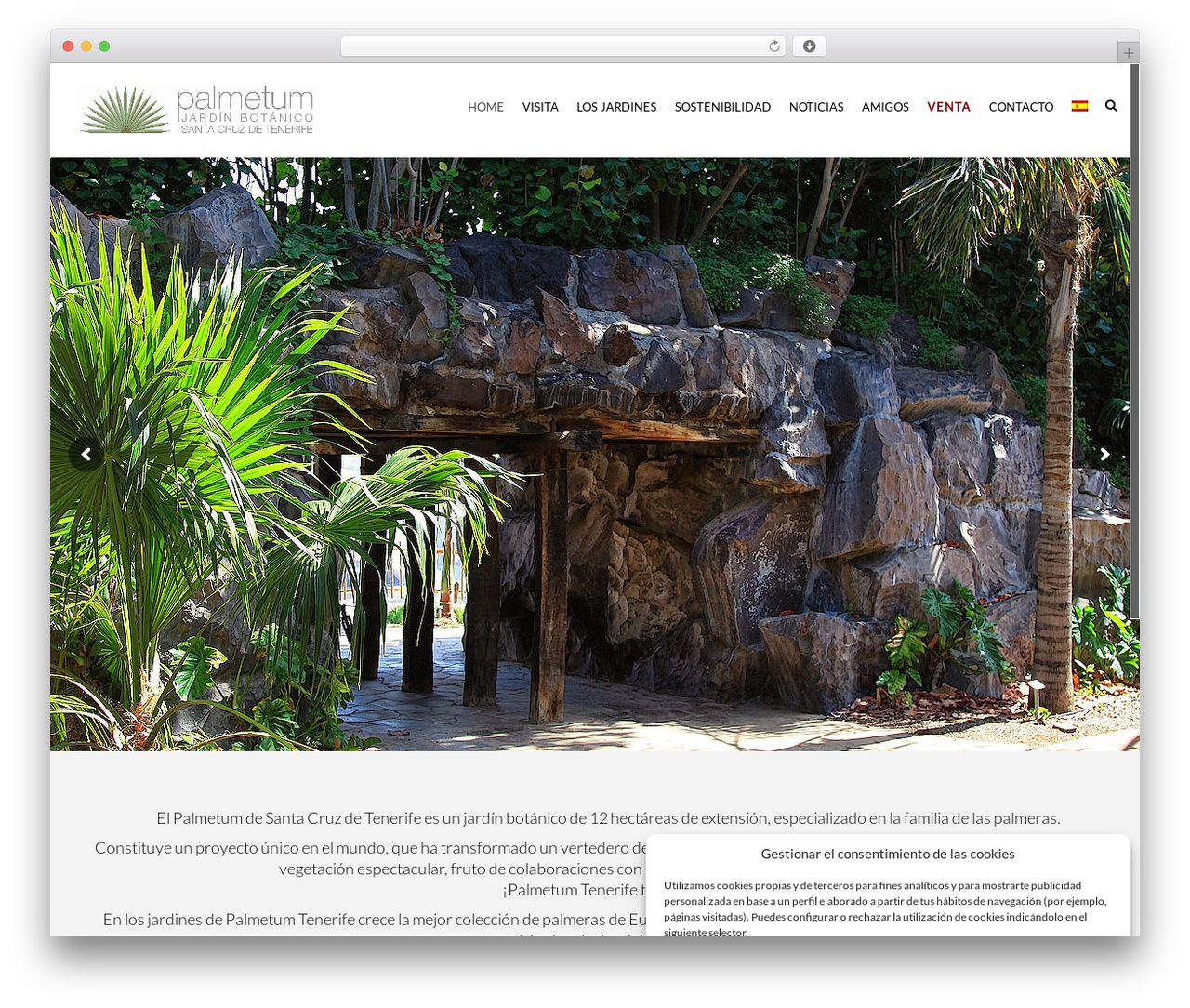 Modo WordPress theme - palmetumtenerife.es