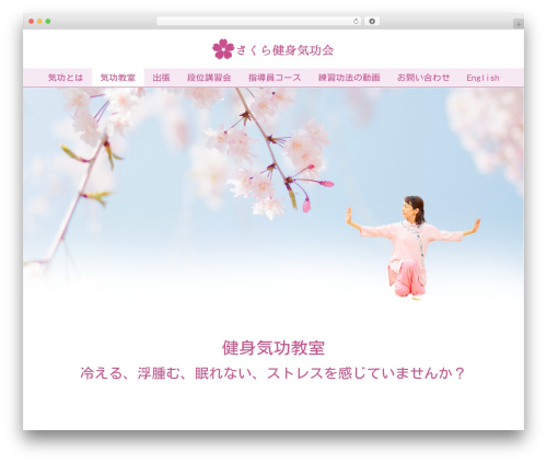 Video Gallery & Slider For YouTube (video-gallery-playlist) free WordPress plugin - sakura-kenshinkiko.net Video Gallery & Slider For YouTube (video-gallery-playlist) free WordPress plugin - sakura-kenshinkiko.net