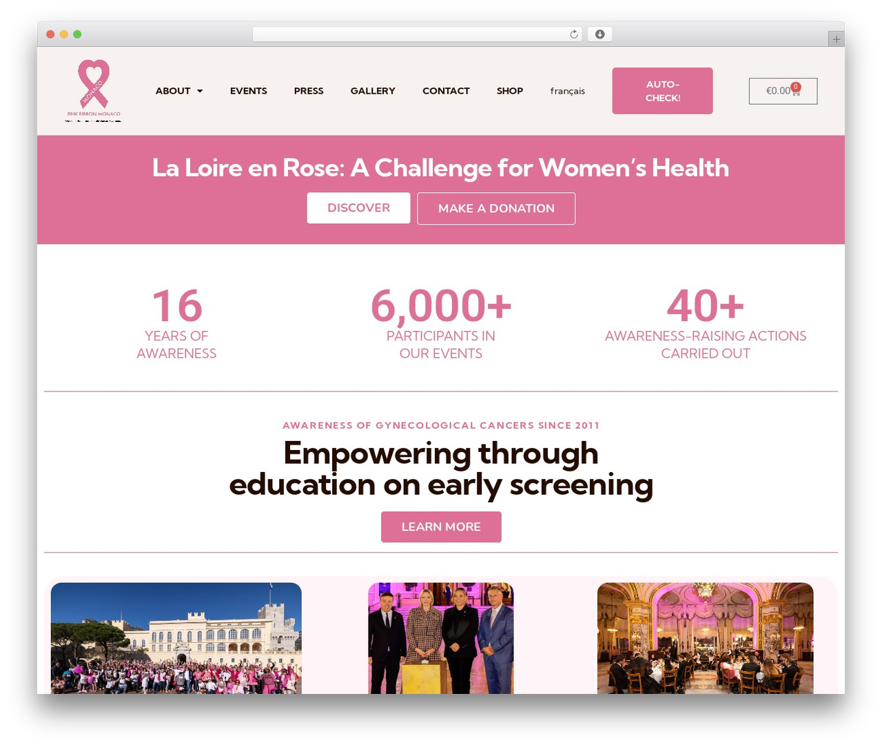 Hello Elementor theme WordPress - pinkribbon.mc Hello Elementor theme WordPress - pinkribbon.mc