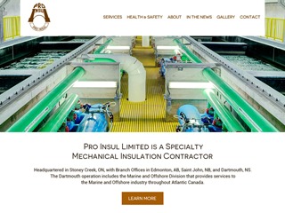 Pro Insul theme WordPress