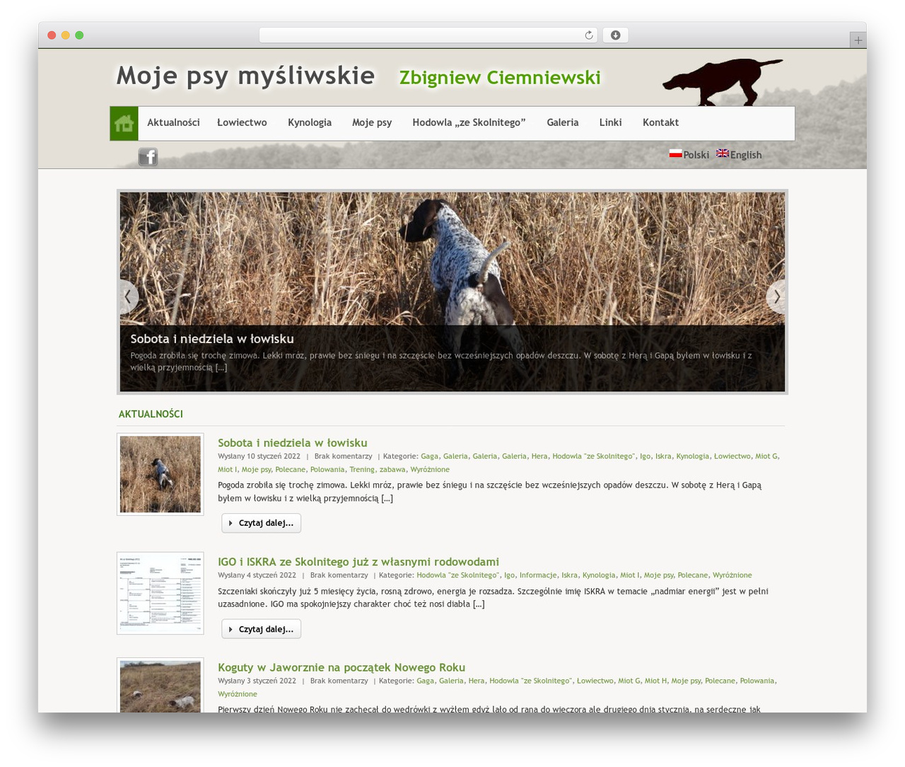 WordPress theme Arras - psymoje.pl WordPress theme Arras - psymoje.pl