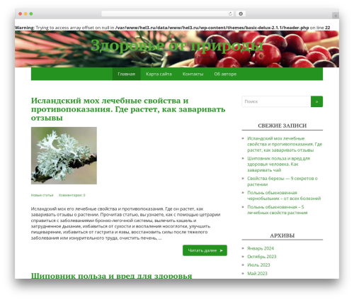 WordPress theme Basic DeLux - hel3.ru
