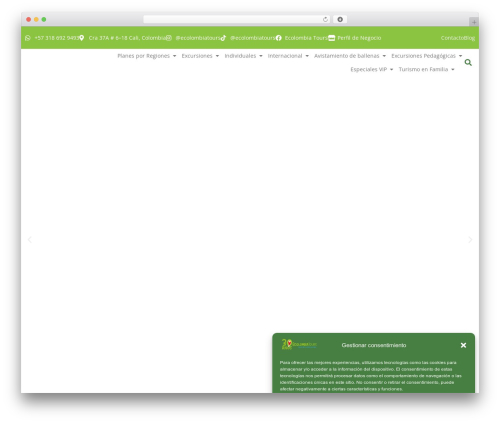 WordPress theme Hello Elementor Child - ecolombiatours.com