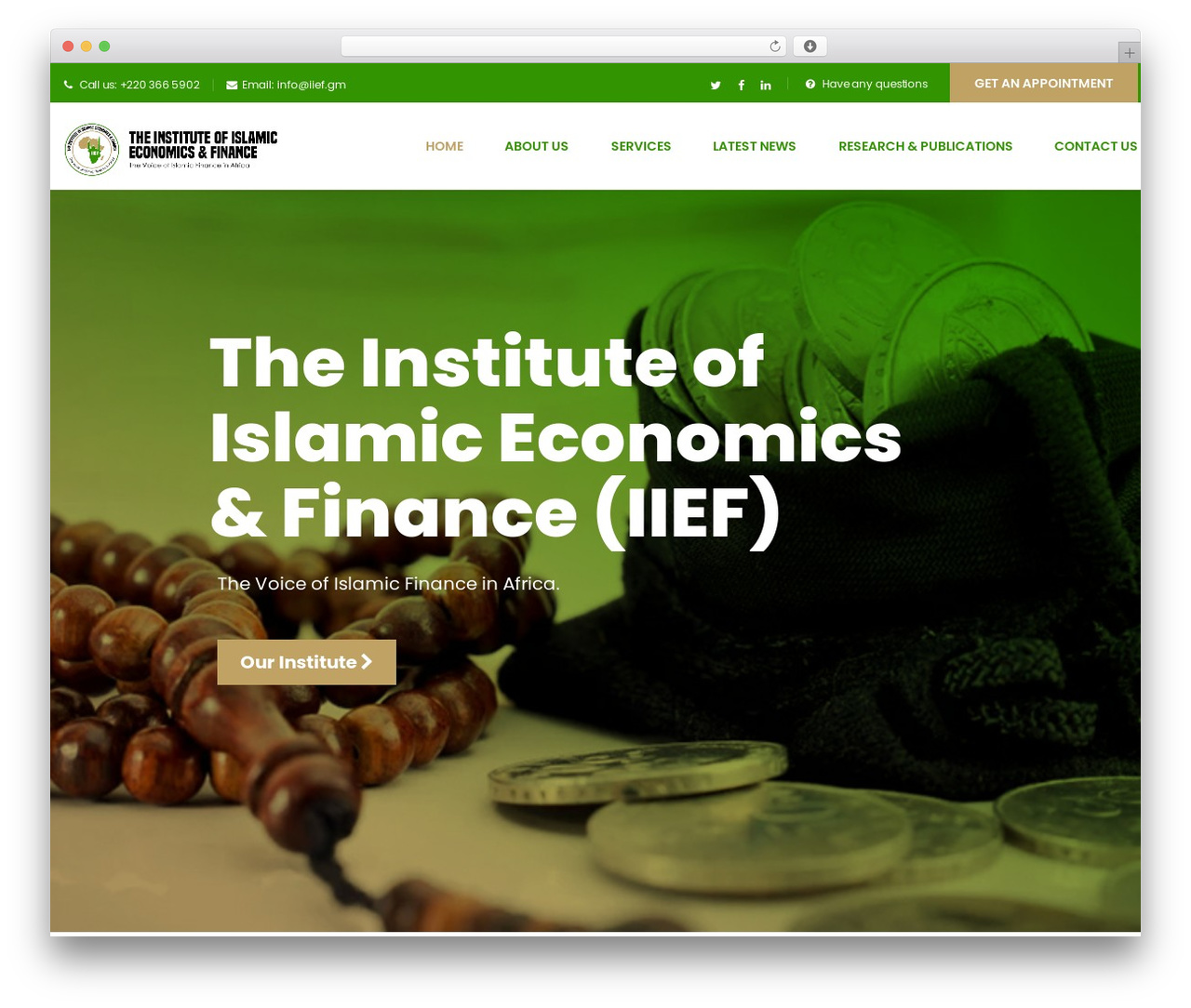 WordPress website theme IIEF - iief.gm