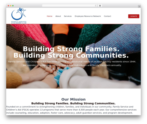 Tenweb builder WordPress plugin - strong-families.org