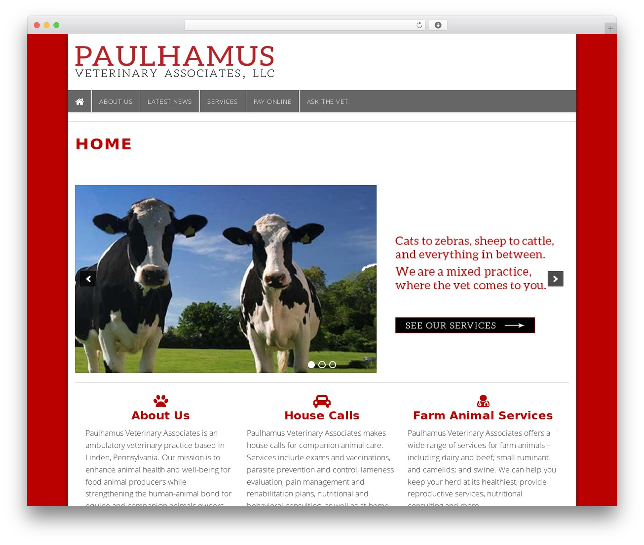 WordPress theme WP-Forge - paulhamusveterinary.com WordPress theme WP-Forge - paulhamusveterinary.com