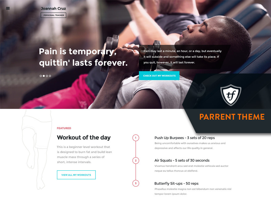 WordPress theme In Shape Parent by ThemeFuse
