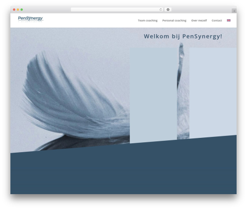 Divi theme WordPress - pensynergy.nl
