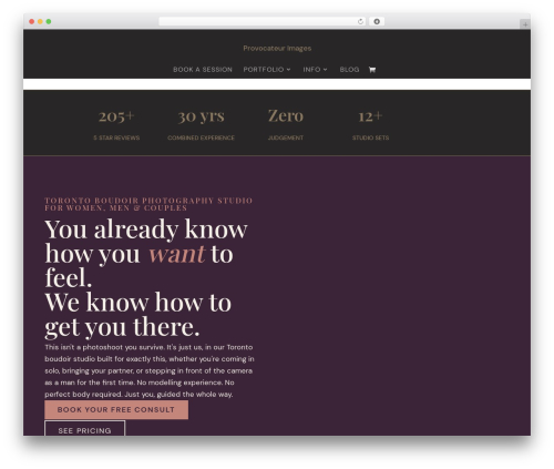 Revslider revealer addon WordPress plugin - provocateurimages.ca