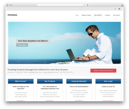 Thinkup panels WordPress plugin - promas.com