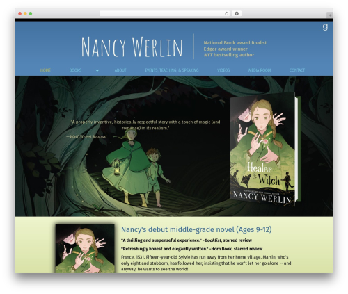 Novelist (novelist) free WordPress plugin - nancywerlin.com