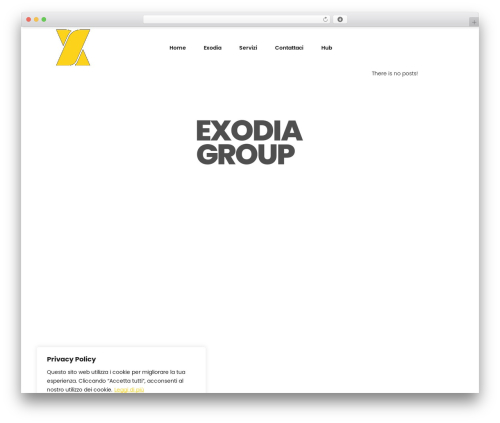 Visitor Traffic Real Time Statistics (visitors-traffic-real-time-statistics) free WordPress plugin - exodia.tech