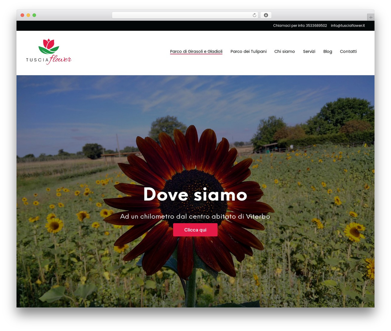 WP theme Centaurus - tusciaflower.com WP theme Centaurus - tusciaflower.com