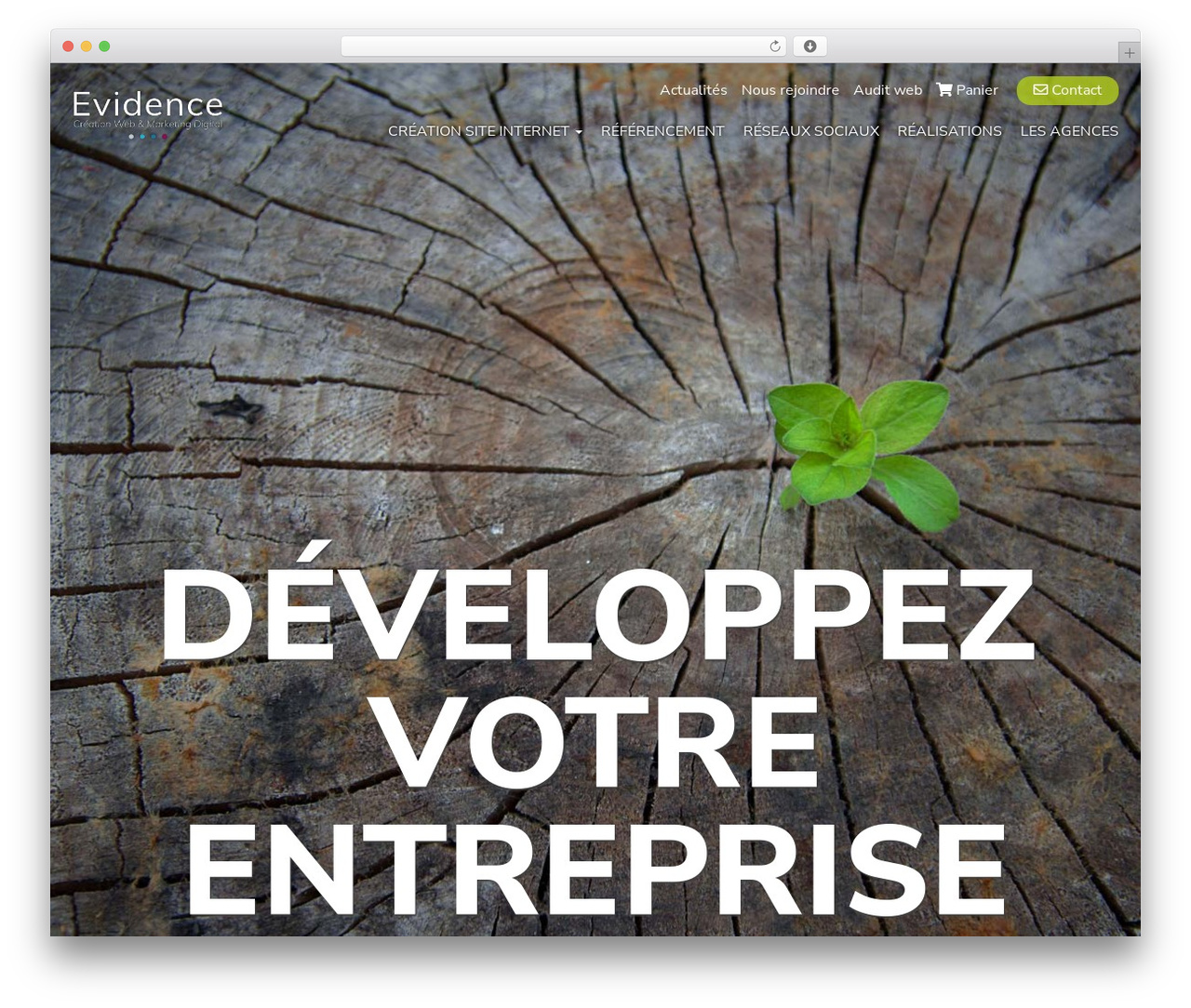 Bootstrap Basic WordPress theme - www.agence-web-evidence.fr