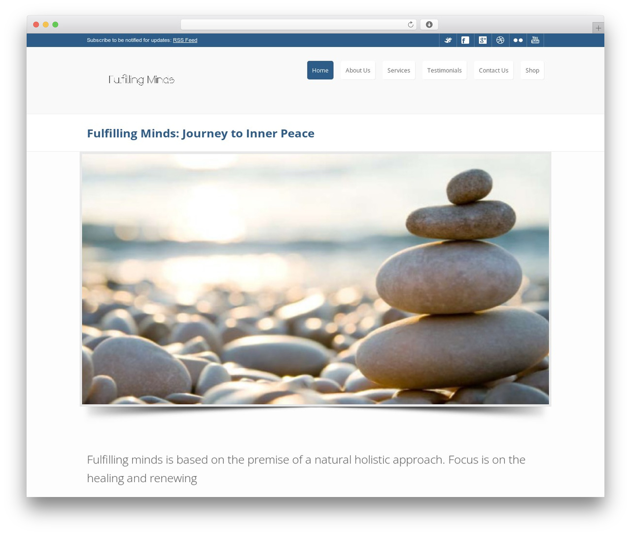 COMMANDER THEME WordPress theme - fulfillingminds.com