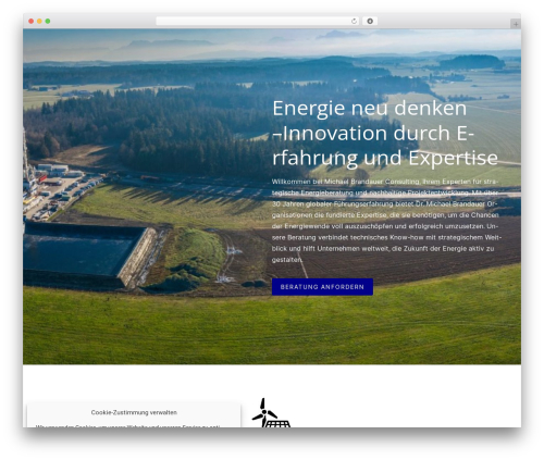 Constructor WP theme - brandauer-consulting.com