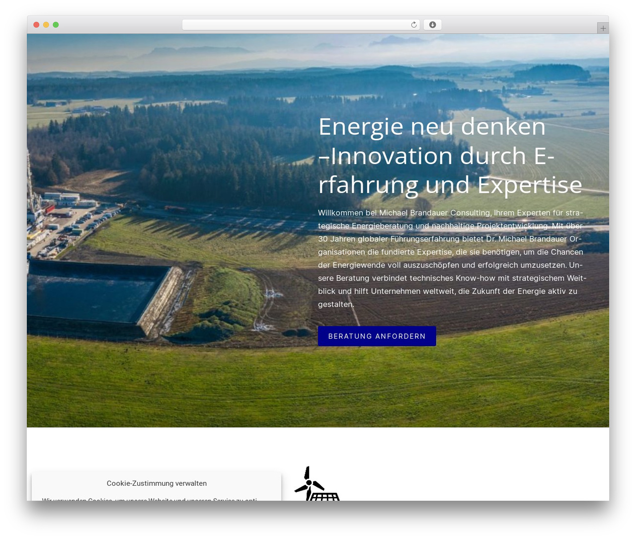 Constructor WP theme - brandauer-consulting.com