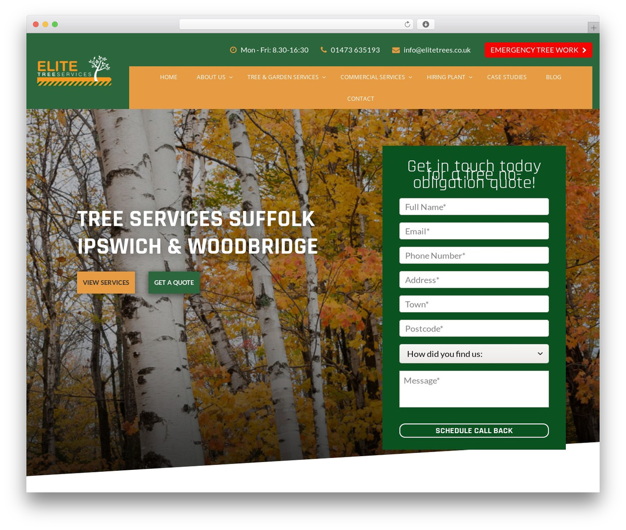 FSE Theme WordPress theme - elitetrees.co.uk FSE Theme WordPress theme - elitetrees.co.uk