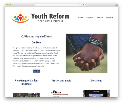 Donations block WordPress plugin - youth-reform-self-help-group.org