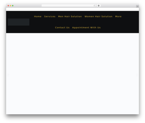Salion WordPress theme - looksfusion.com